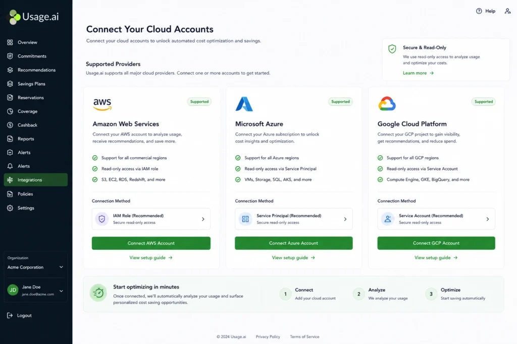 Usage.ai account connection screen showing AWS as a connected cloud provider alongside Azure and Google Cloud options