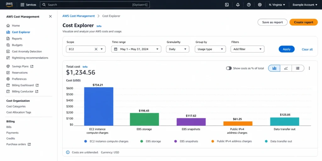 AWS Cost Explorer EC2 account view with costs grouped by usage type showing separate bars for instance compute, EBS storage, EBS snapshots, IPv4 address charges, and data transfer out -- illustrating how EC2 costs extend well beyond the instance hourly rate.