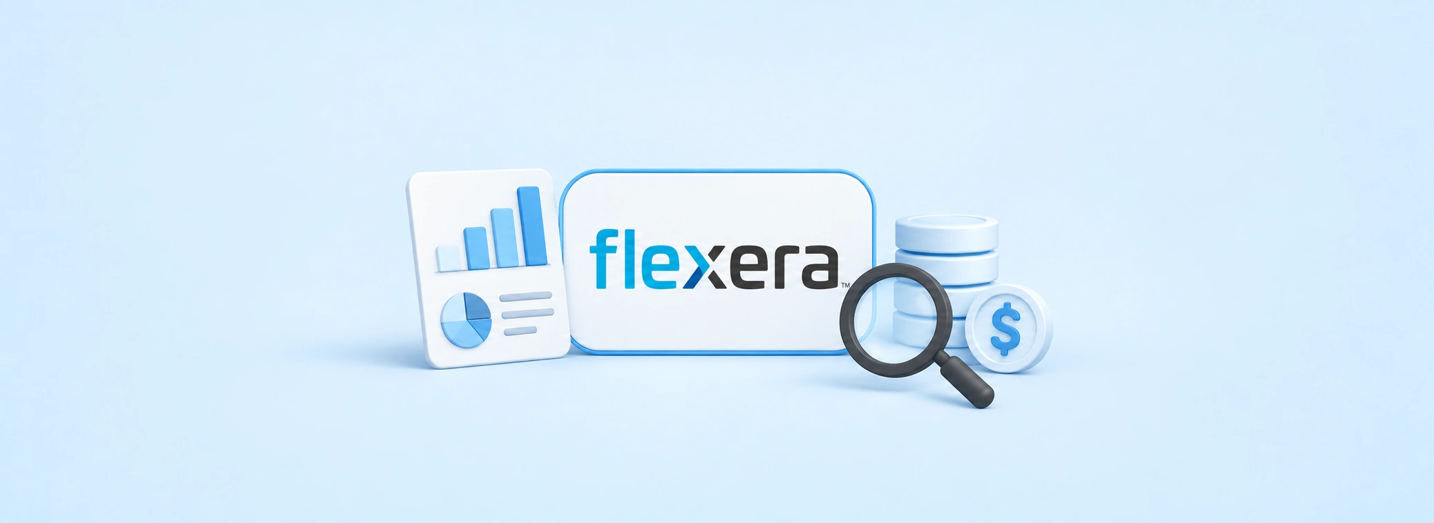 Flexera Pricing: Fees, Metrics, and Contract Costs