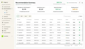 Usage.ai recommendation summary